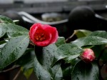 [060310_26.jpg]