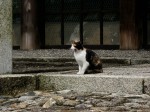 [060310_27.jpg]
