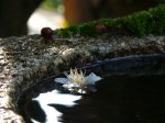 [060317_11.jpg]