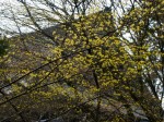 [060317_16.jpg]