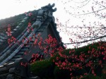 [060317_9.jpg]