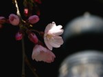 [060324_24.jpg]
