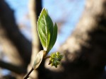 [060324_26.jpg]