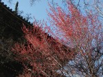 [060324_27.jpg]