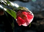 [060324_6.jpg]