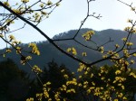 [060324_9.jpg]