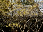 [060331_11.jpg]