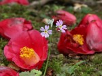 [060331_16.jpg]