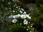 [060331_17.jpg]