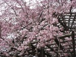 [060331_8.jpg]