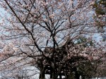 [060407_11.jpg]