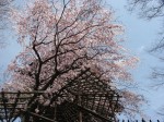 [060407_17.jpg]