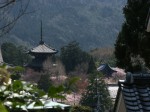 [060407_24.jpg]