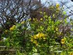 [060407_31.jpg]