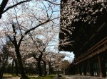 [060407_35.jpg]