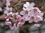 [060407_39.jpg]