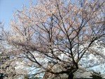 [060407_40.jpg]