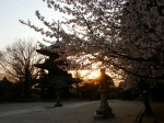 [060407_41.jpg]