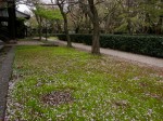 [060414_24.jpg]