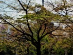 [060421_23.jpg]