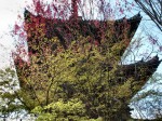 [060421_24.jpg]