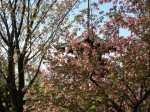 [060421_26.jpg]