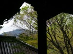 [060421_5.jpg]