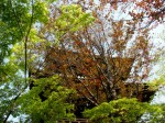 [060428_22.jpg]