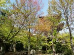 [060428_32.jpg]