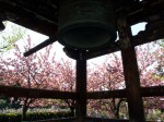[060428_40.jpg]
