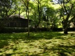 [060428_45.jpg]