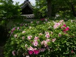 [060505_17.jpg]