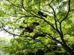 [060505_21.jpg]