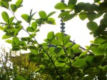 [060505_28.jpg]