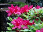 [060505_29.jpg]