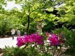 [060505_7.jpg]