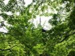 [060511_16.jpg]