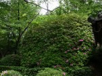 [060511_23.jpg]