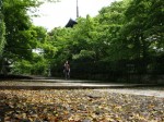 [060511_6.jpg]