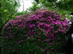 [060519_13.jpg]