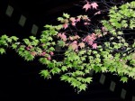 [060519_19.jpg]
