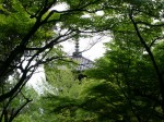 [060519_4.jpg]