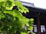 [060526_18.jpg]
