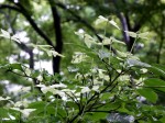 [060526_28.jpg]