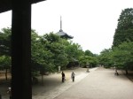 [060602_13.jpg]