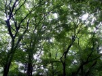 [060609_12.jpg]