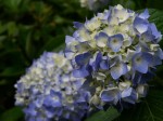[060609_20.jpg]