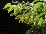[060616_10.jpg]