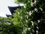 [060616_17.jpg]