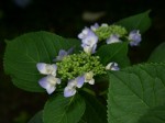 [060616_21.jpg]